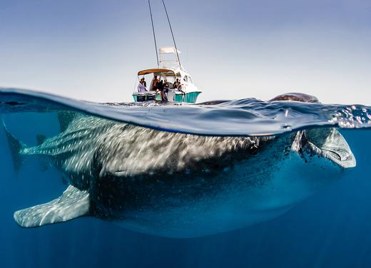 Sylvie and Olivier Chantecaille on a boat during their trip with WildAid. Photo by Shawn Heinrichs for WildAid.