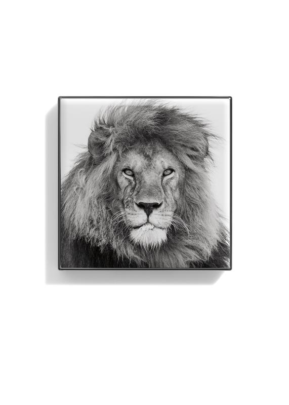 Lion Luminescent